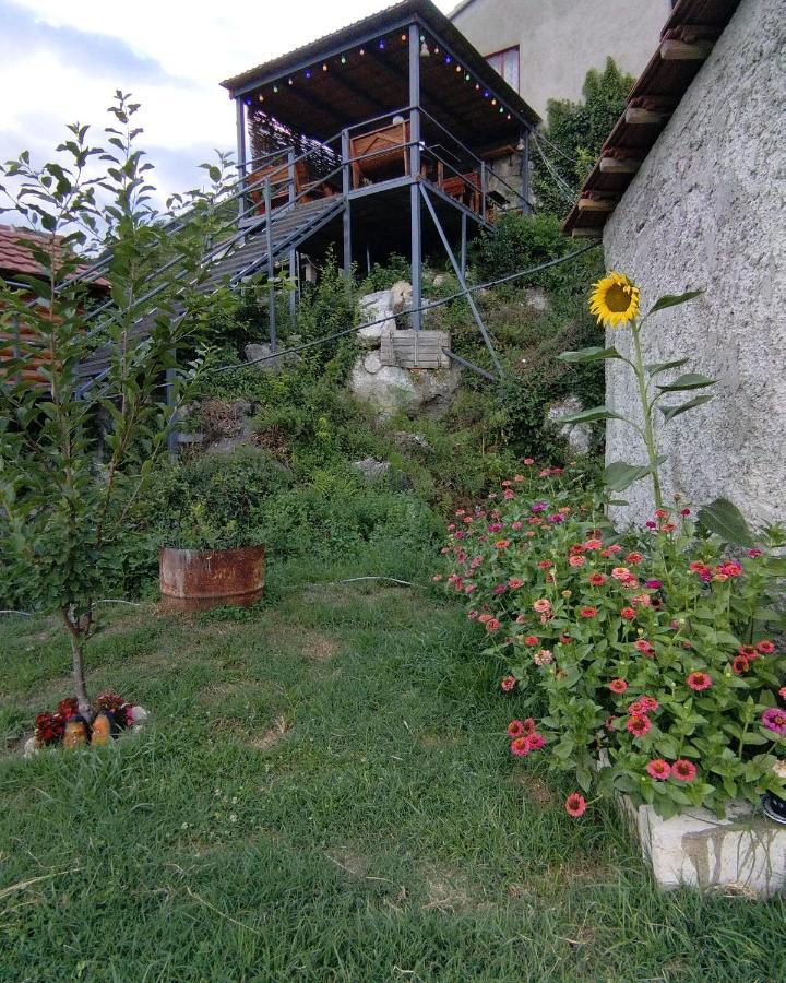 Camp Sunny Hills Hotel Virpazar Bagian luar foto