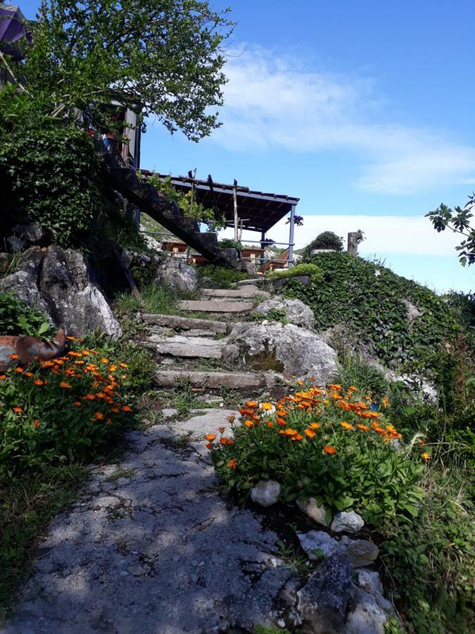 Camp Sunny Hills Hotel Virpazar Bagian luar foto