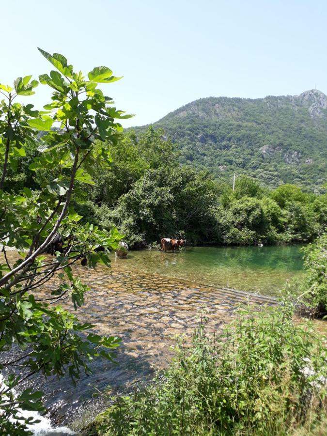 Camp Sunny Hills Hotel Virpazar Bagian luar foto