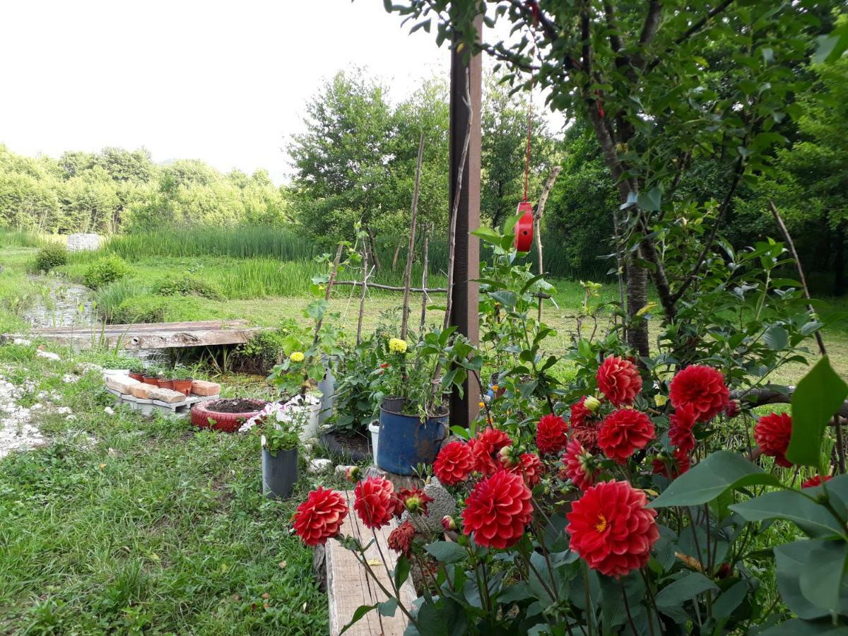 Camp Sunny Hills Hotel Virpazar Bagian luar foto