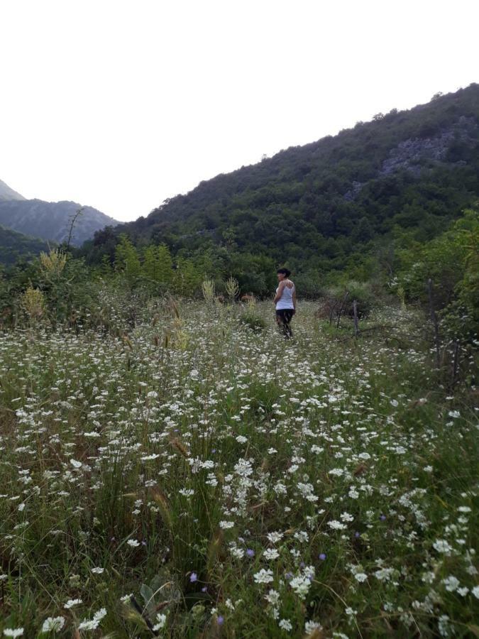Camp Sunny Hills Hotel Virpazar Bagian luar foto